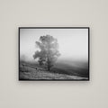 Field of Dreams, Waikato — Basel Black, 107×80 cm. New Zealand fine art wall art by Stephen Milner.