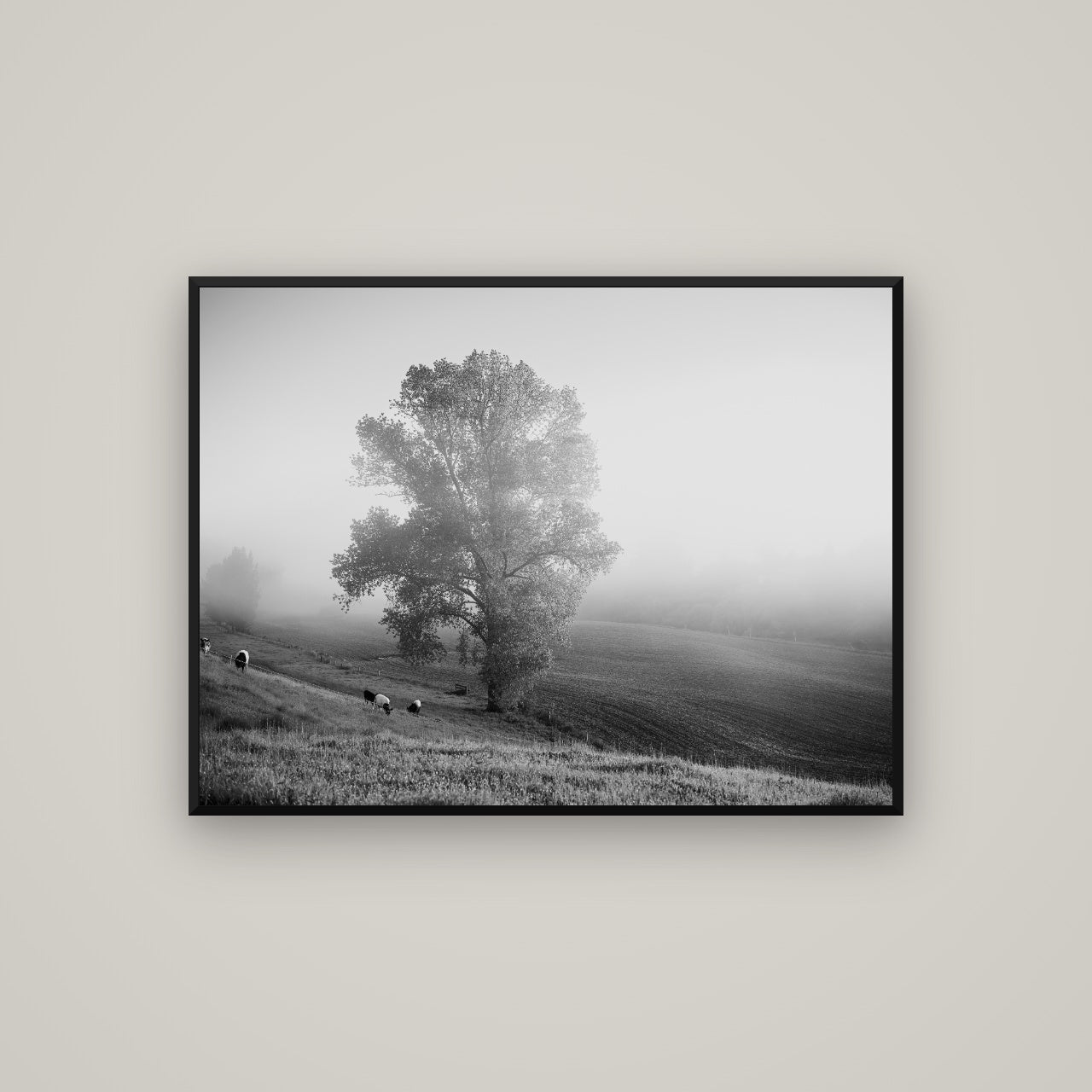 Field of Dreams, Waikato — Basel Black, 107×80 cm. New Zealand fine art wall art by Stephen Milner.