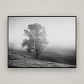 Field of Dreams, Waikato — Basel Black, 160×120 cm. New Zealand fine art wall art by Stephen Milner.