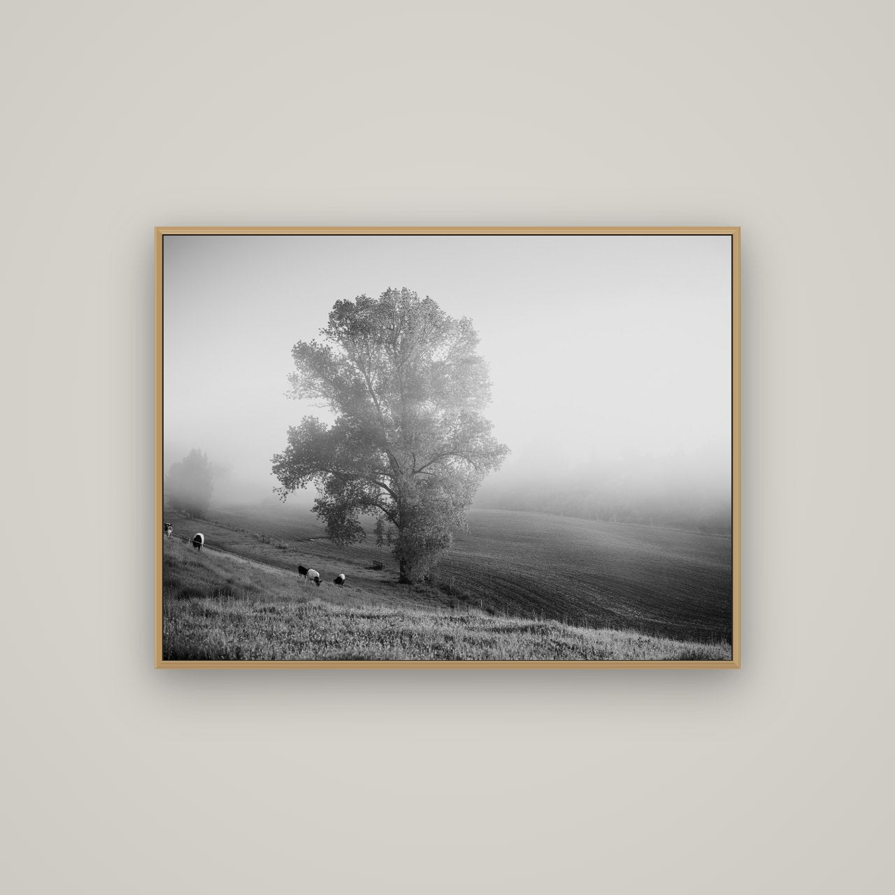 Field of Dreams, Waikato, Basel Natural Oak, 107×80 cm. New Zealand fine art wall art by Stephen Milner.