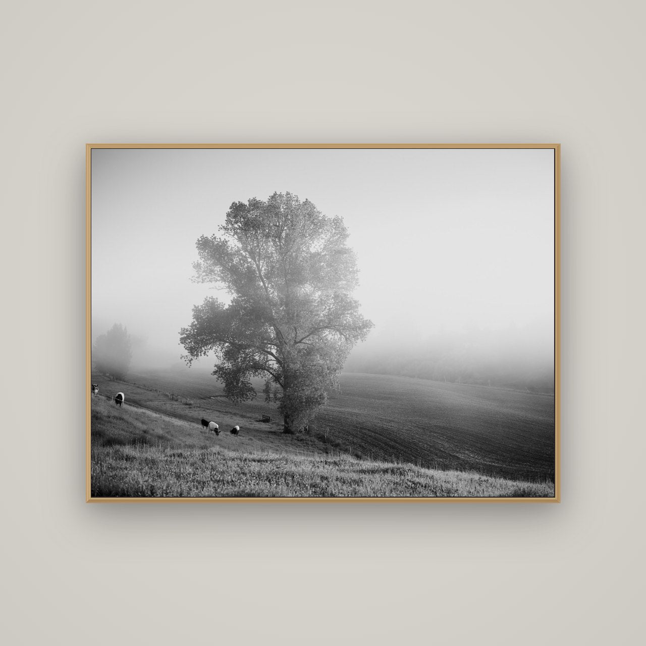 Field of Dreams, Waikato, Basel Natural Oak, 133×100 cm. New Zealand fine art wall art by Stephen Milner.