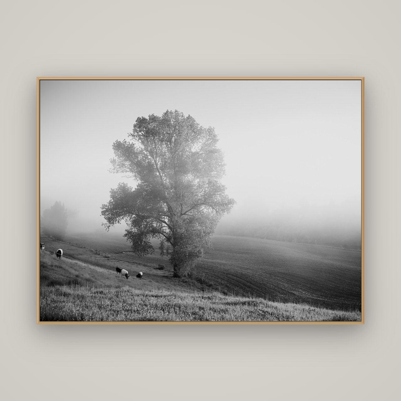 Field of Dreams, Waikato, Basel Natural Oak, 160×120 cm. New Zealand fine art wall art by Stephen Milner.