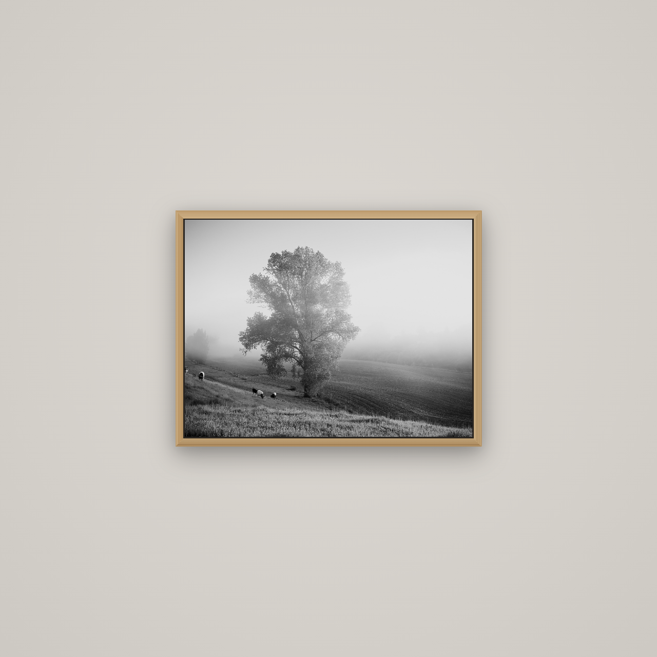 Field of Dreams, Waikato, Basel Natural Oak, 53×40 cm. New Zealand fine art wall art by Stephen Milner.