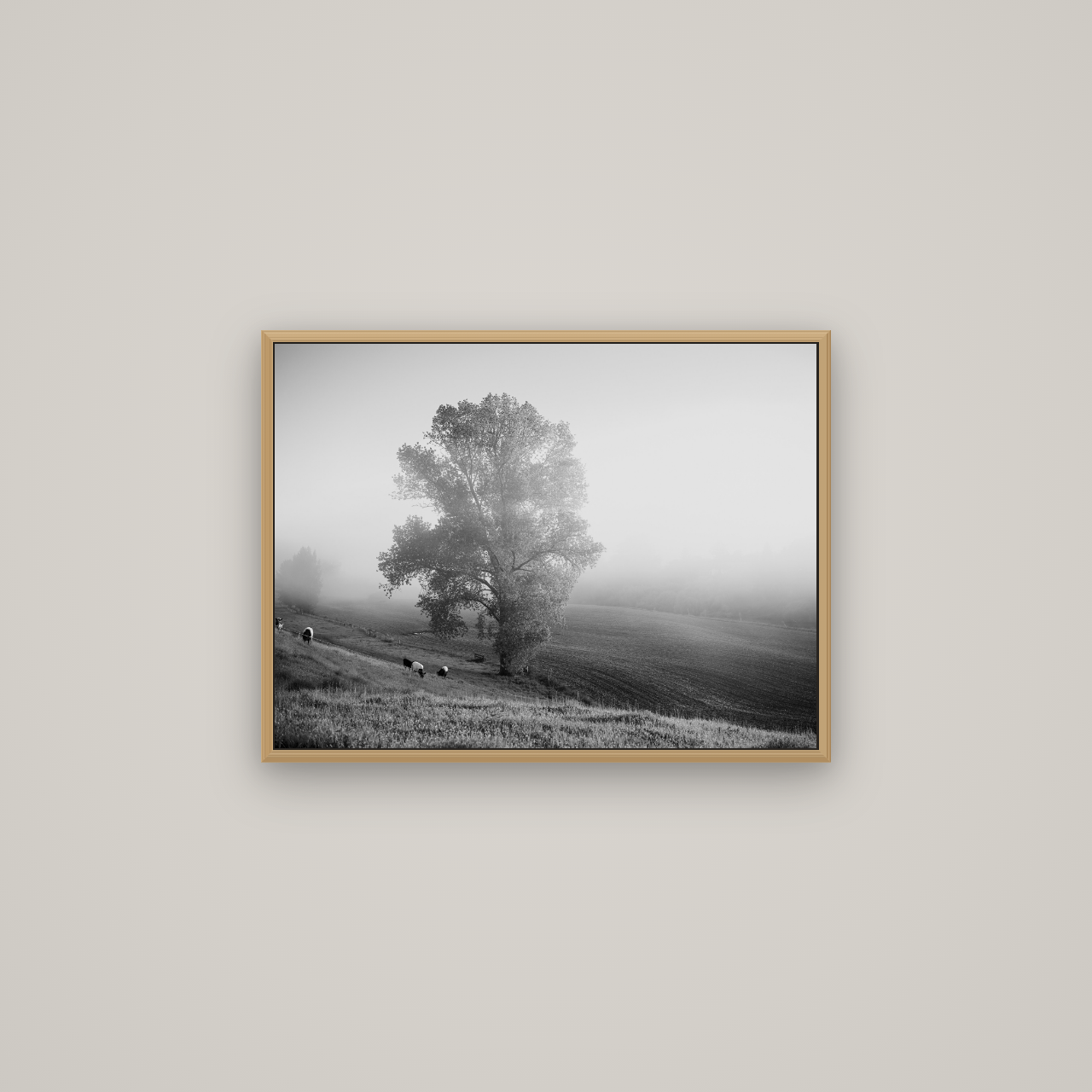 Field of Dreams, Waikato, Basel Natural Oak, 67×50 cm. New Zealand fine art wall art by Stephen Milner.