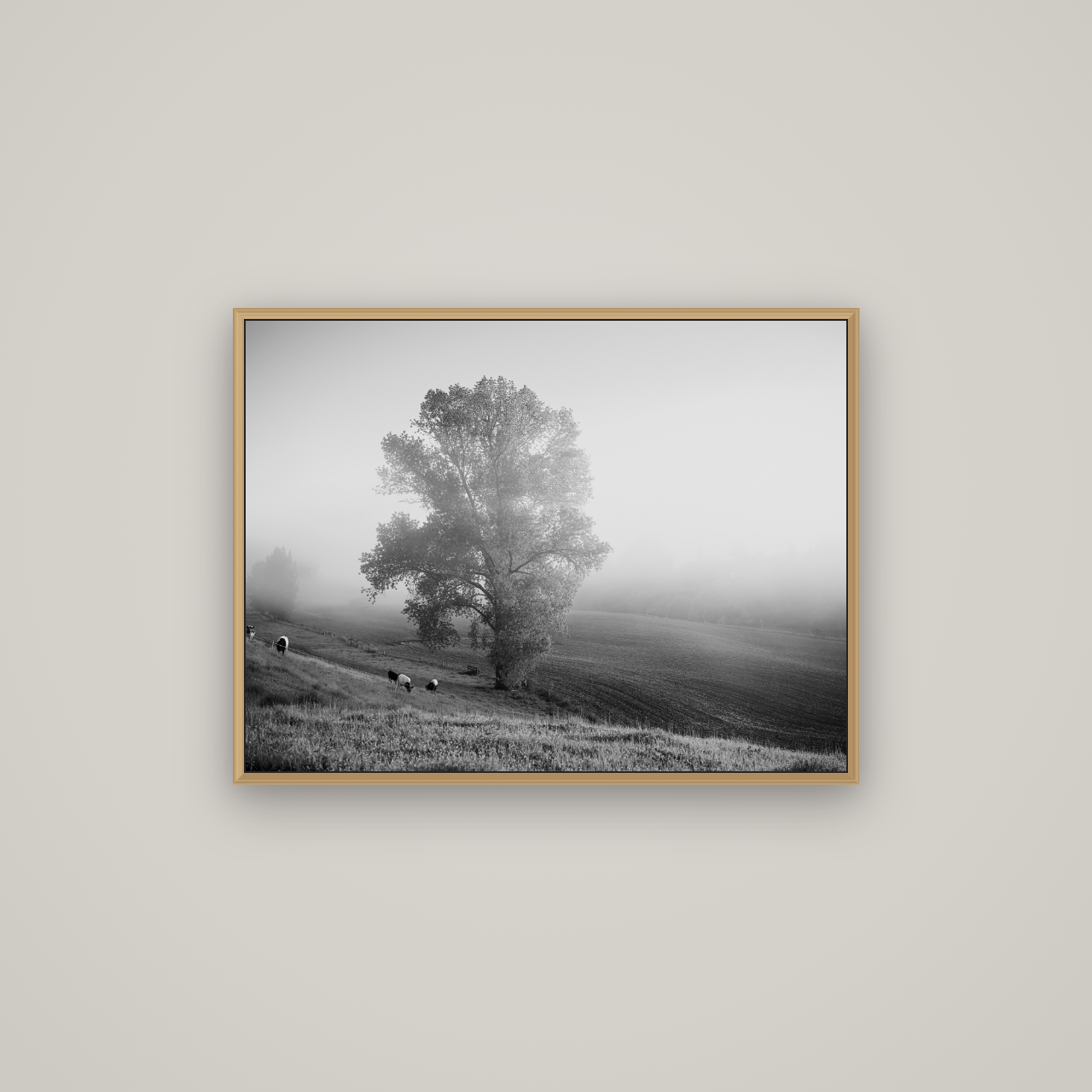 Field of Dreams, Waikato, Basel Natural Oak, 80×60 cm. New Zealand fine art wall art by Stephen Milner.