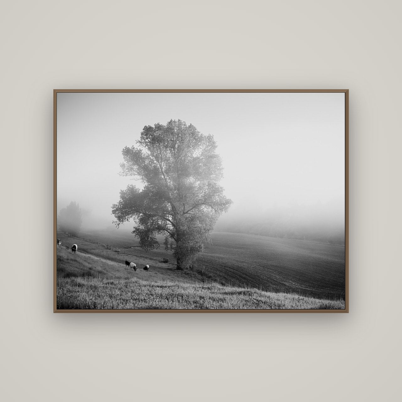Field of Dreams, Waikato, Basel Walnut, 133×100 cm. New Zealand fine art wall art by Stephen Milner.