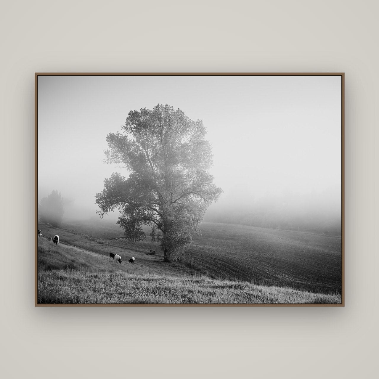 Field of Dreams, Waikato, Basel Walnut, 160×120 cm. New Zealand fine art wall art by Stephen Milner.