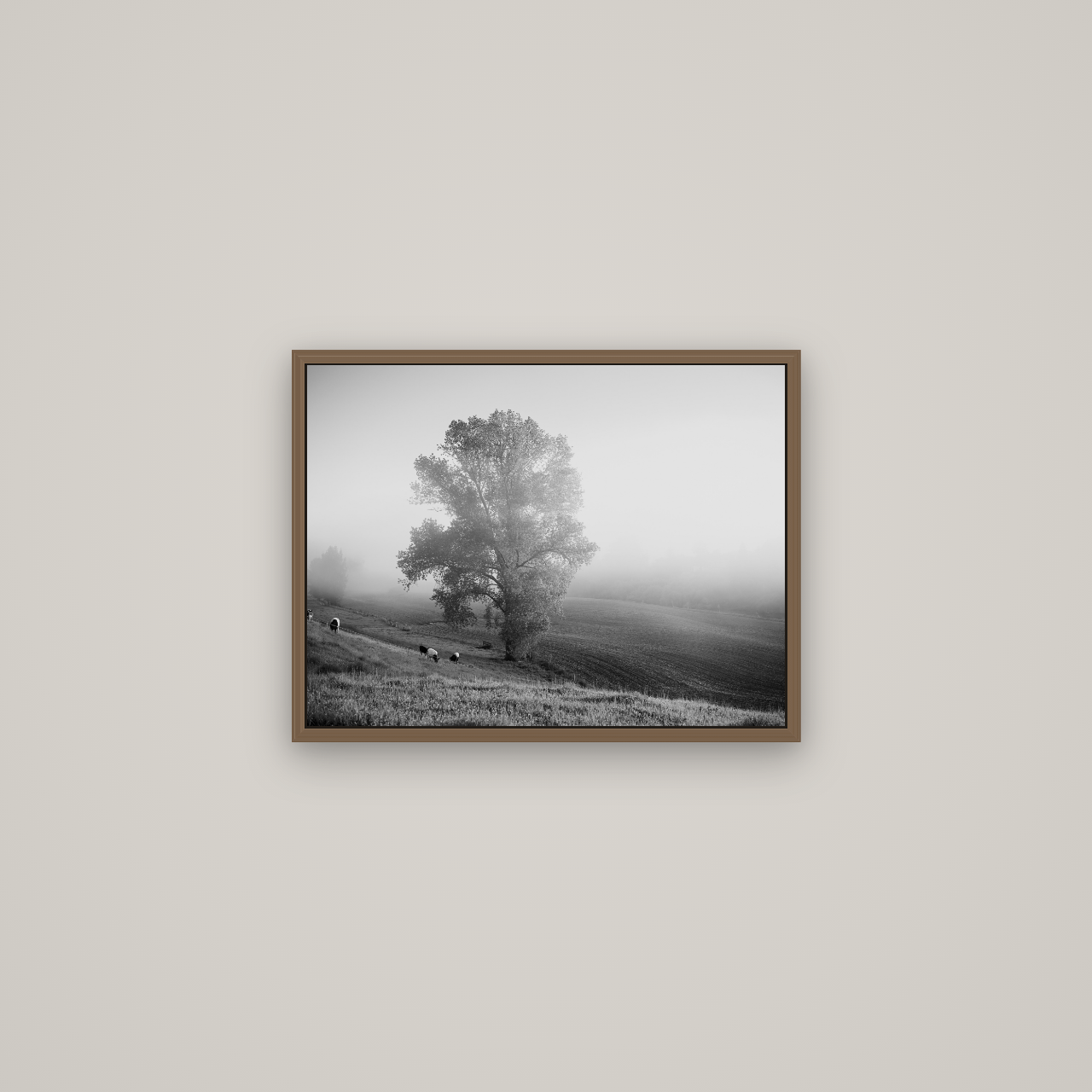 Field of Dreams, Waikato, Basel Walnut, 53×40 cm. New Zealand fine art wall art by Stephen Milner.
