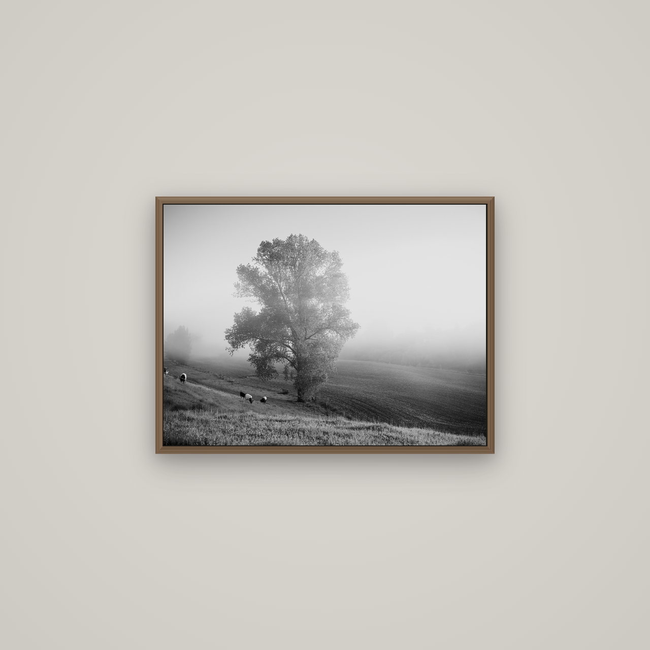 Field of Dreams, Waikato, Basel Walnut, 67×50 cm. New Zealand fine art wall art by Stephen Milner.
