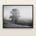 Field of Dreams, Waikato — black float frame canvas, 173 × 133 cm. New Zealand fine art landscape wall art by Stephen Milner.