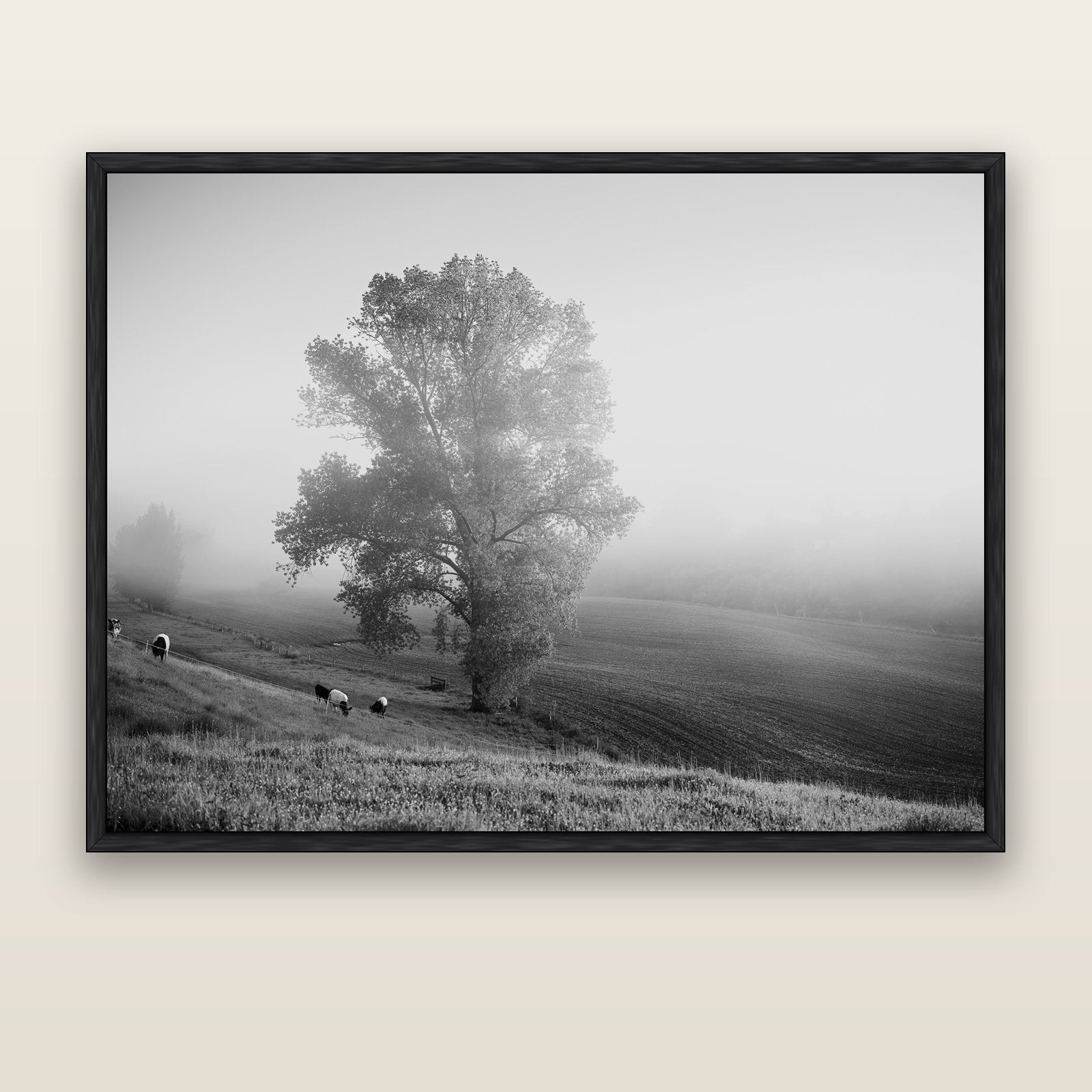 Field of Dreams, Waikato — black float frame canvas, 173 × 133 cm. New Zealand fine art landscape wall art by Stephen Milner.