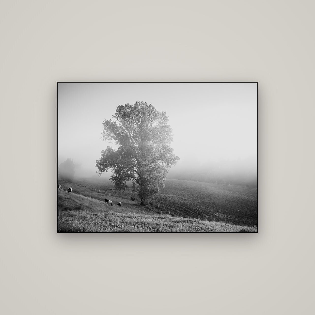 Field of Dreams, Waikato — Slimline Black, 107×80 cm. New Zealand fine art wall art by Stephen Milner.