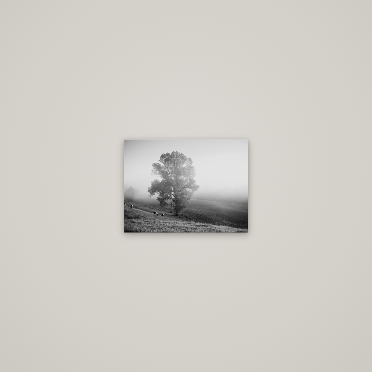 Field of Dreams, Waikato — No frame, 28×21 cm. New Zealand fine art wall art by Stephen Milner.