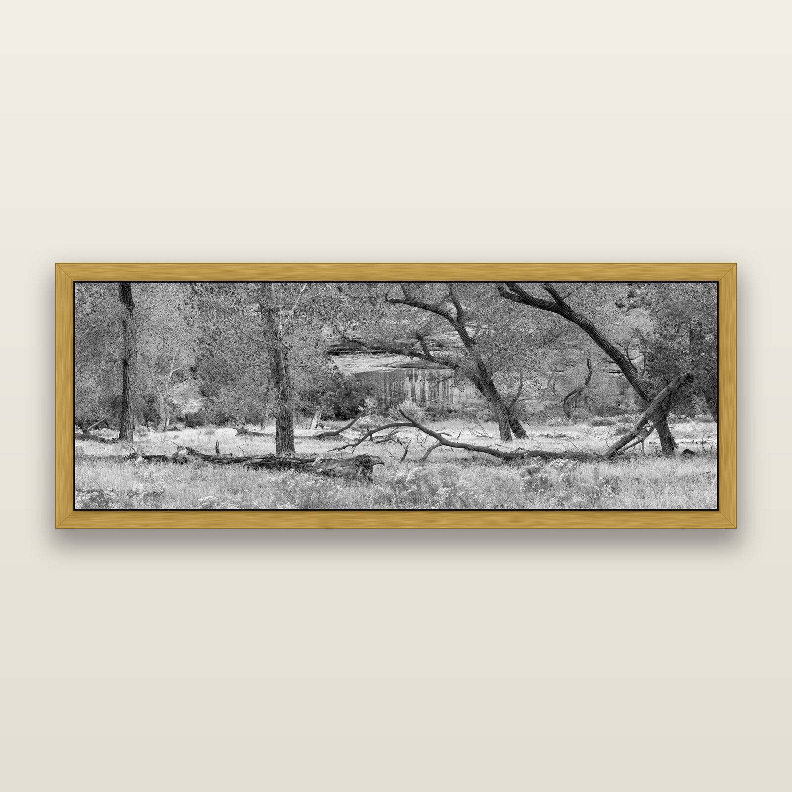 Zion's Canyon Symphony, Nature's Three Figures, black and white framed metallic canvas print, Antique Gold frame. New Zealand fine art wall art by Stephen Milner.