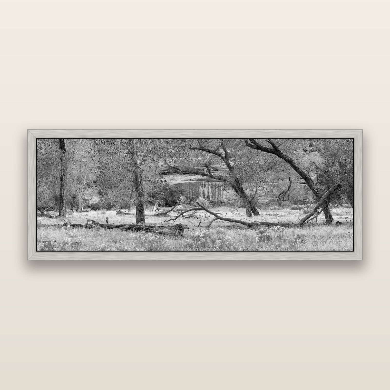 Zion's Canyon Symphony, Nature's Three Figures, black and white framed metallic canvas print, Antique Silver frame. New Zealand fine art wall art by Stephen Milner.
