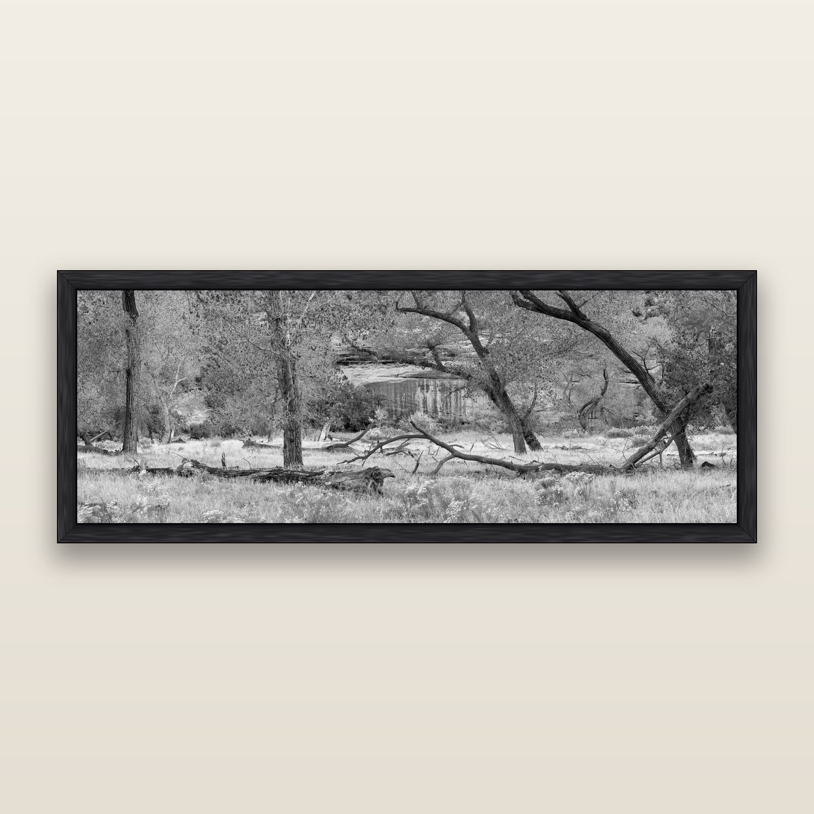 Zion's Canyon Symphony, Nature's Three Figures, black and white framed metallic canvas print, Black frame. New Zealand fine art wall art by Stephen Milner.