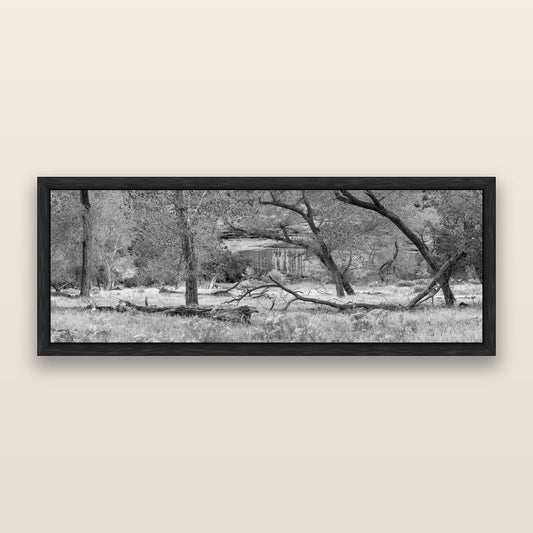 Zion's Canyon Symphony, Nature's Three Figures, black and white framed metallic canvas print, Black frame. New Zealand fine art wall art by Stephen Milner.