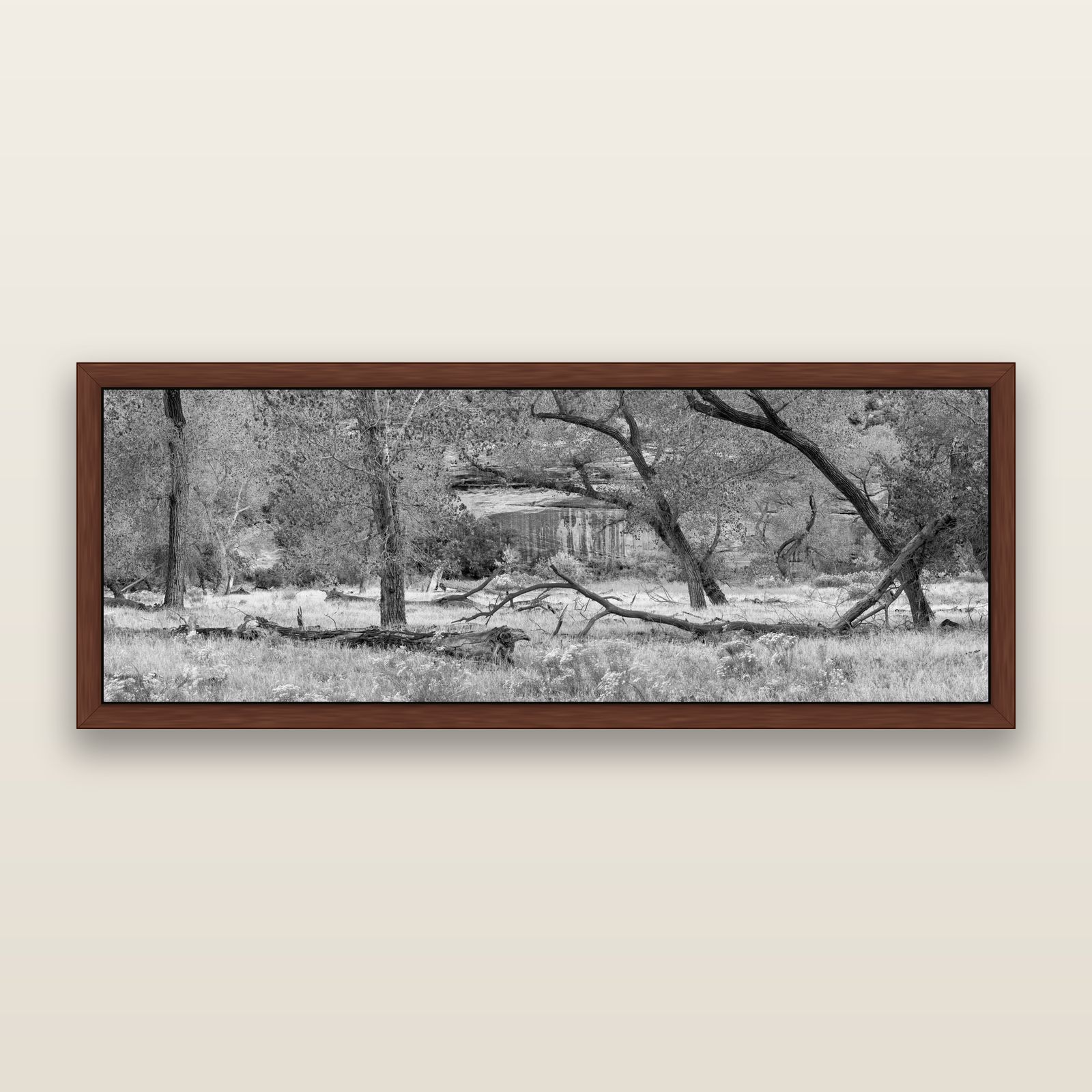 Zion's Canyon Symphony, Nature's Three Figures, black and white framed metallic canvas print, Brown frame. New Zealand fine art wall art by Stephen Milner.