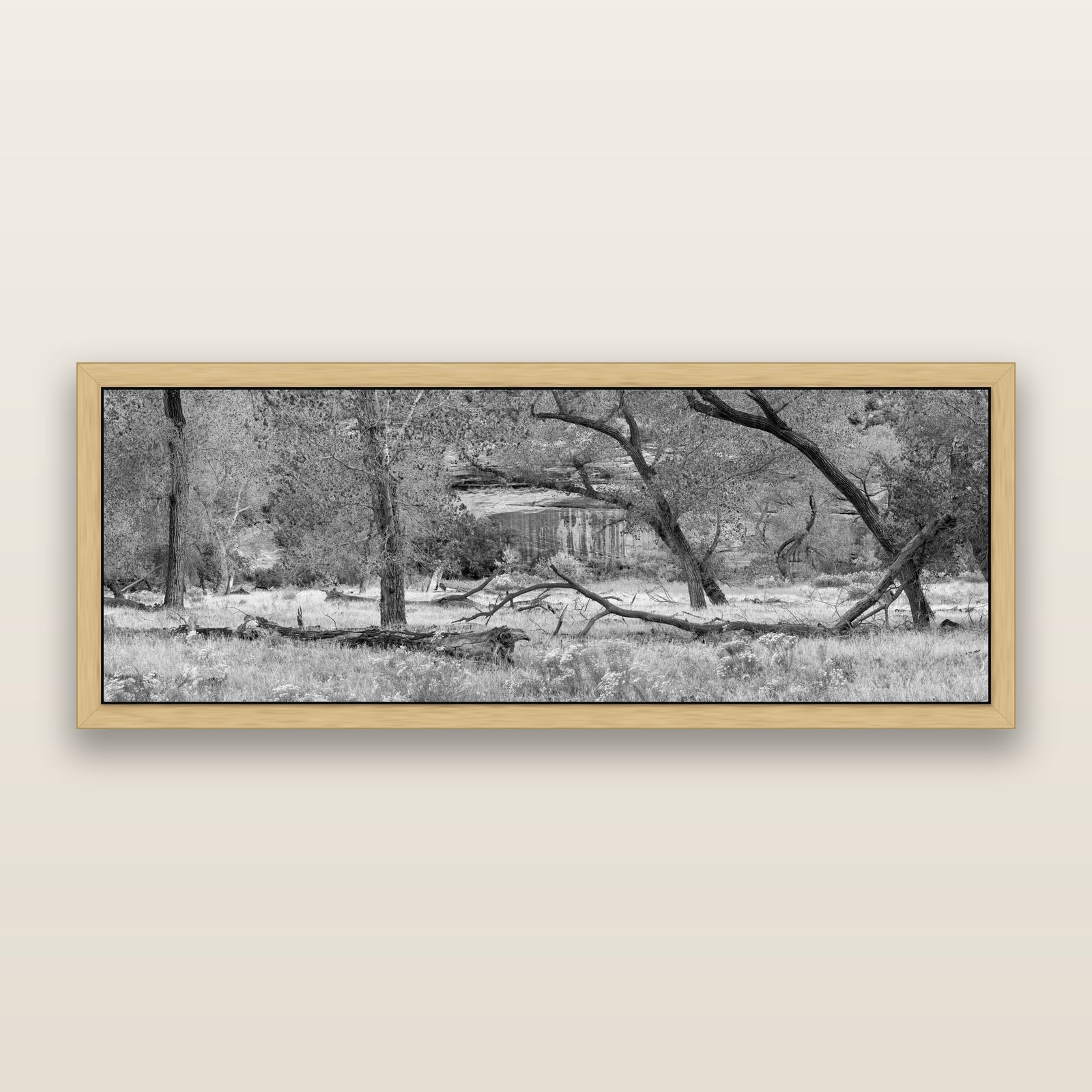 Zion's Canyon Symphony, Nature's Three Figures, black and white framed metallic canvas print, Natural frame. New Zealand fine art wall art by Stephen Milner.