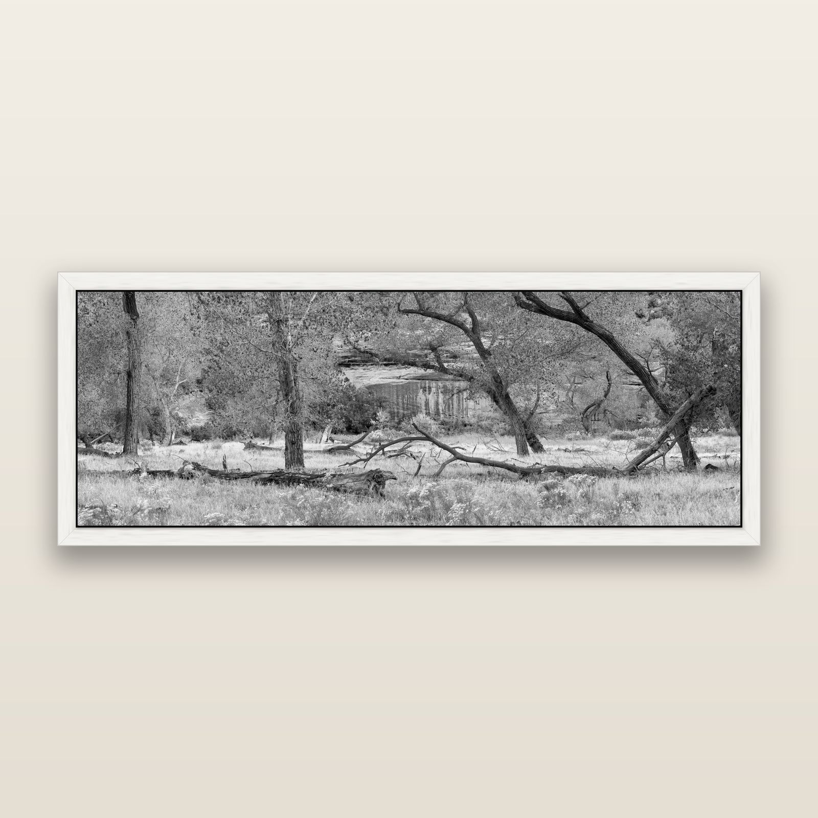 Zion's Canyon Symphony, Nature's Three Figures, black and white framed metallic canvas print, White frame. New Zealand fine art wall art by Stephen Milner.