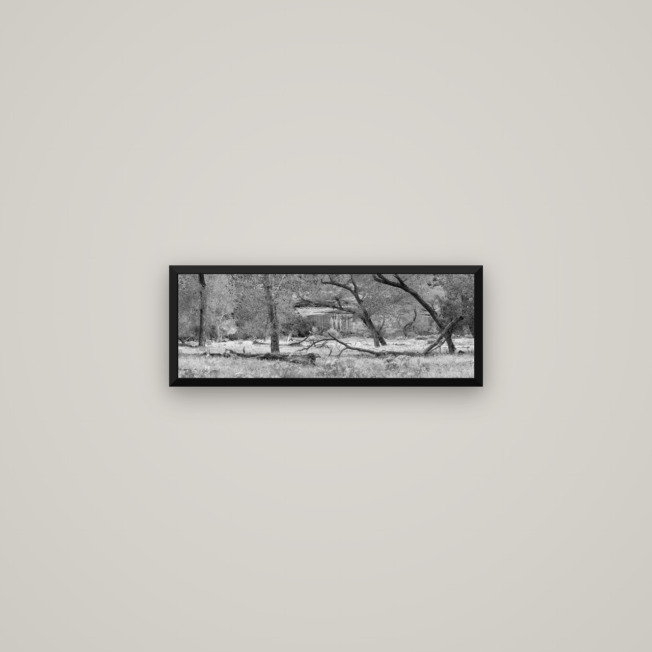 Zion's Canyon Symphony, Nature's Three Figures — Basel Black Matte, 57×20 cm. New Zealand fine art wall art by Stephen Milner.