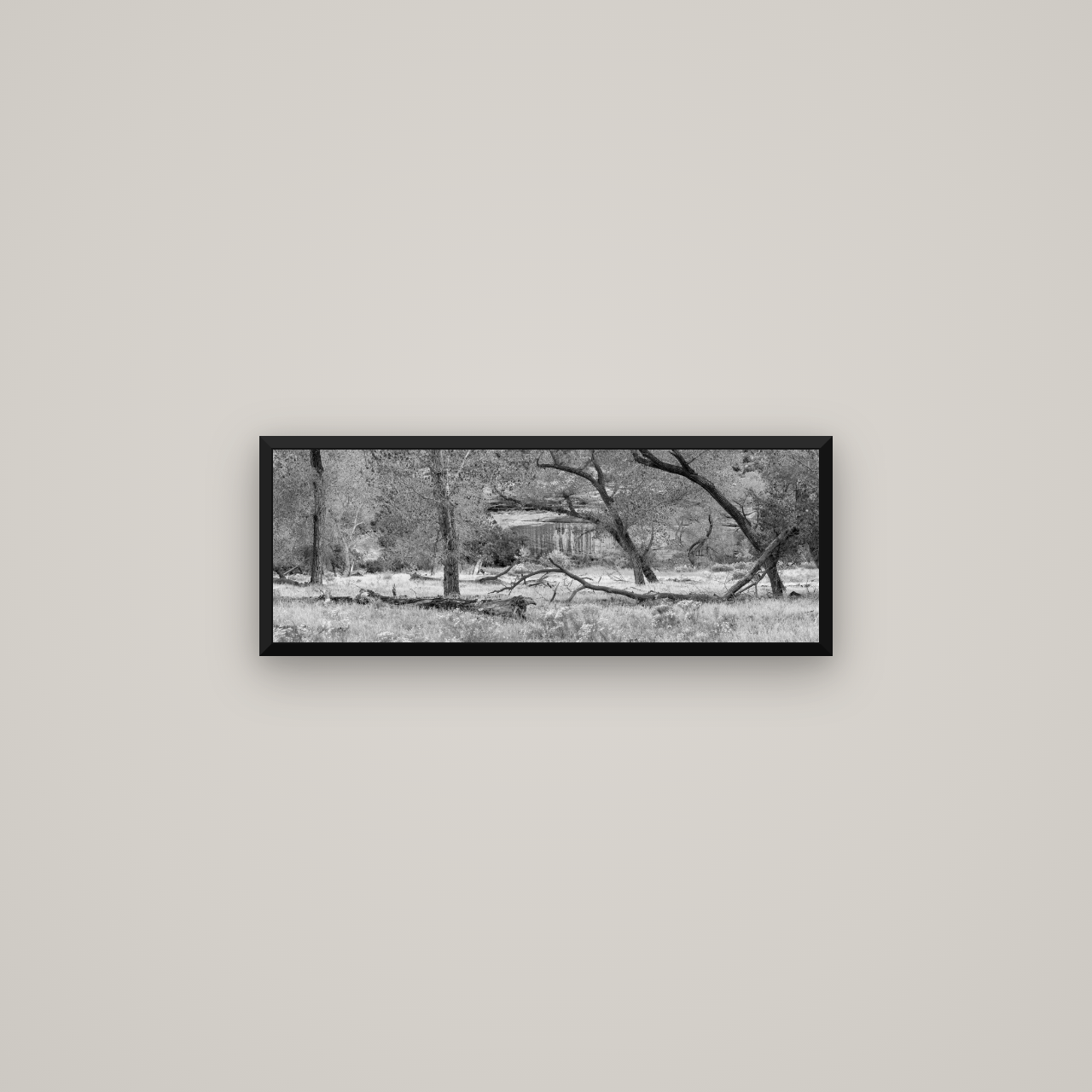 Zion's Canyon Symphony, Nature's Three Figures — Basel Black Matte, 68×24 cm. New Zealand fine art wall art by Stephen Milner.