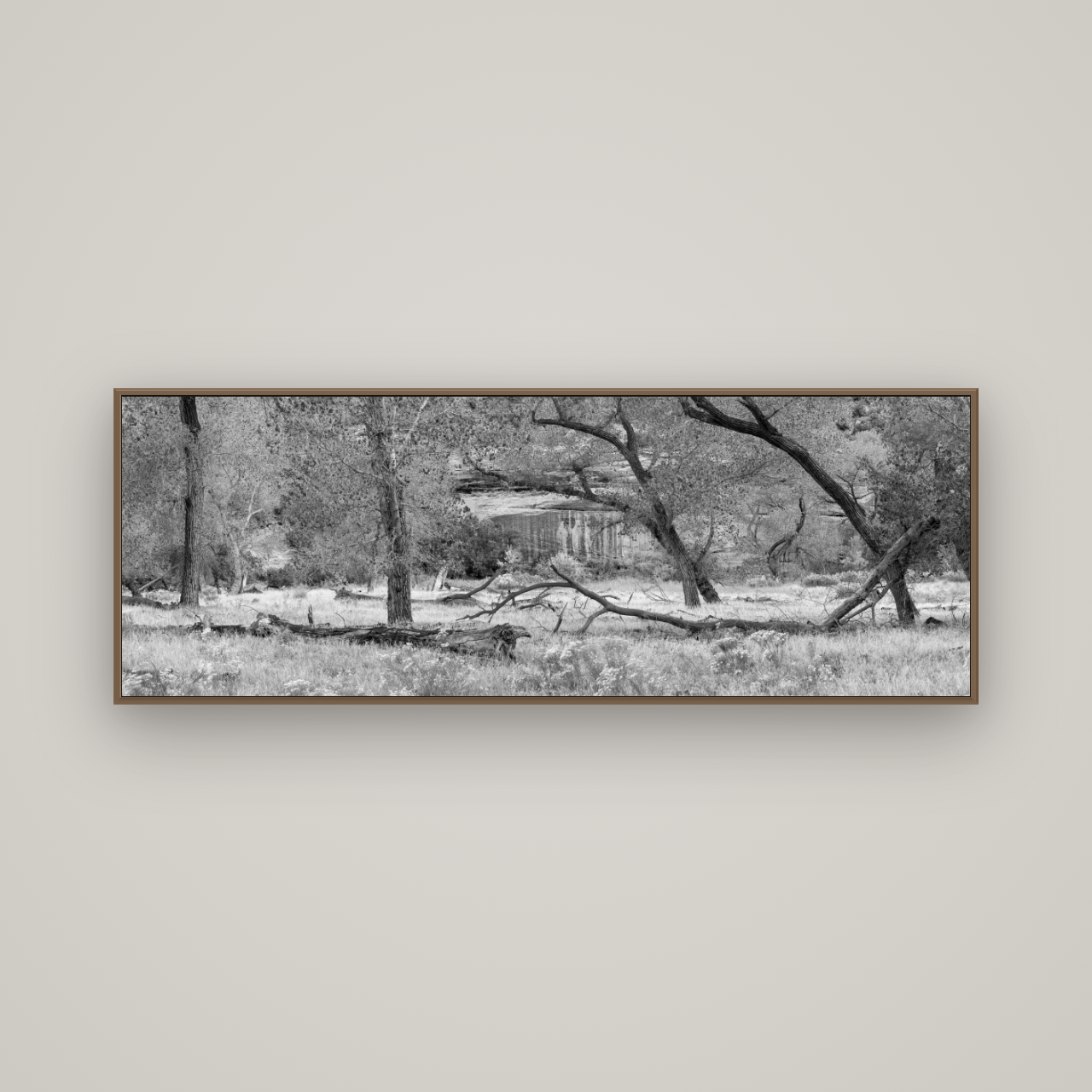 Zion's Canyon Symphony, Nature's Three Figures, Basel Walnut, 170×60 cm. New Zealand fine art wall art by Stephen Milner.