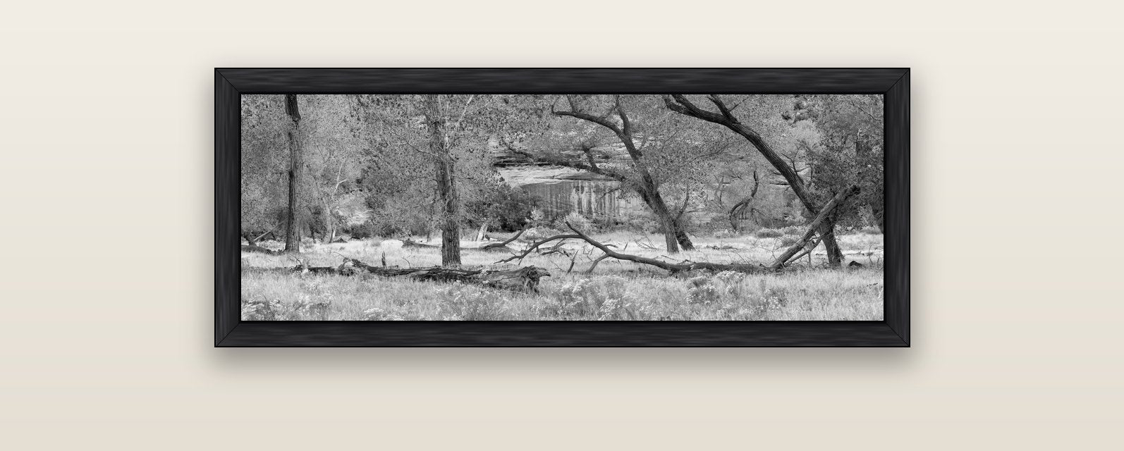Zion's Canyon Symphony, Nature's Three Figures — black float frame canvas, 102 × 36 cm. New Zealand fine art landscape wall art by Stephen Milner.