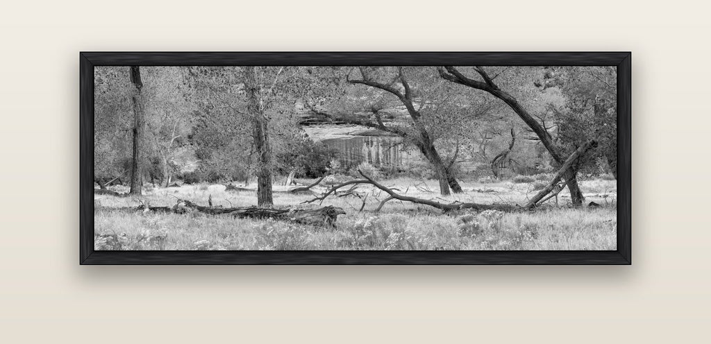 Zion's Canyon Symphony, Nature's Three Figures — black float frame canvas, 152 × 56 cm. New Zealand fine art landscape wall art by Stephen Milner.