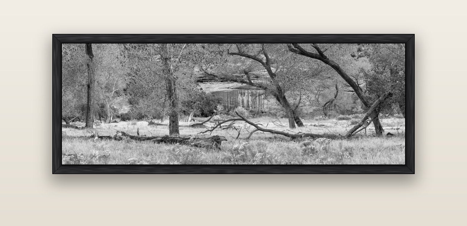 Zion's Canyon Symphony, Nature's Three Figures — black float frame canvas, 152 × 56 cm. New Zealand fine art landscape wall art by Stephen Milner.