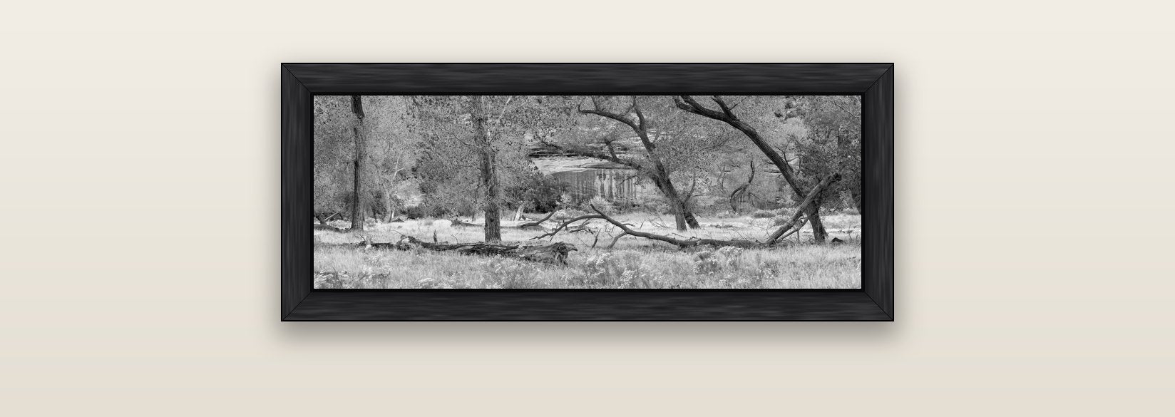 Zion's Canyon Symphony, Nature's Three Figures — black float frame canvas, 71 × 25 cm. New Zealand fine art landscape wall art by Stephen Milner.