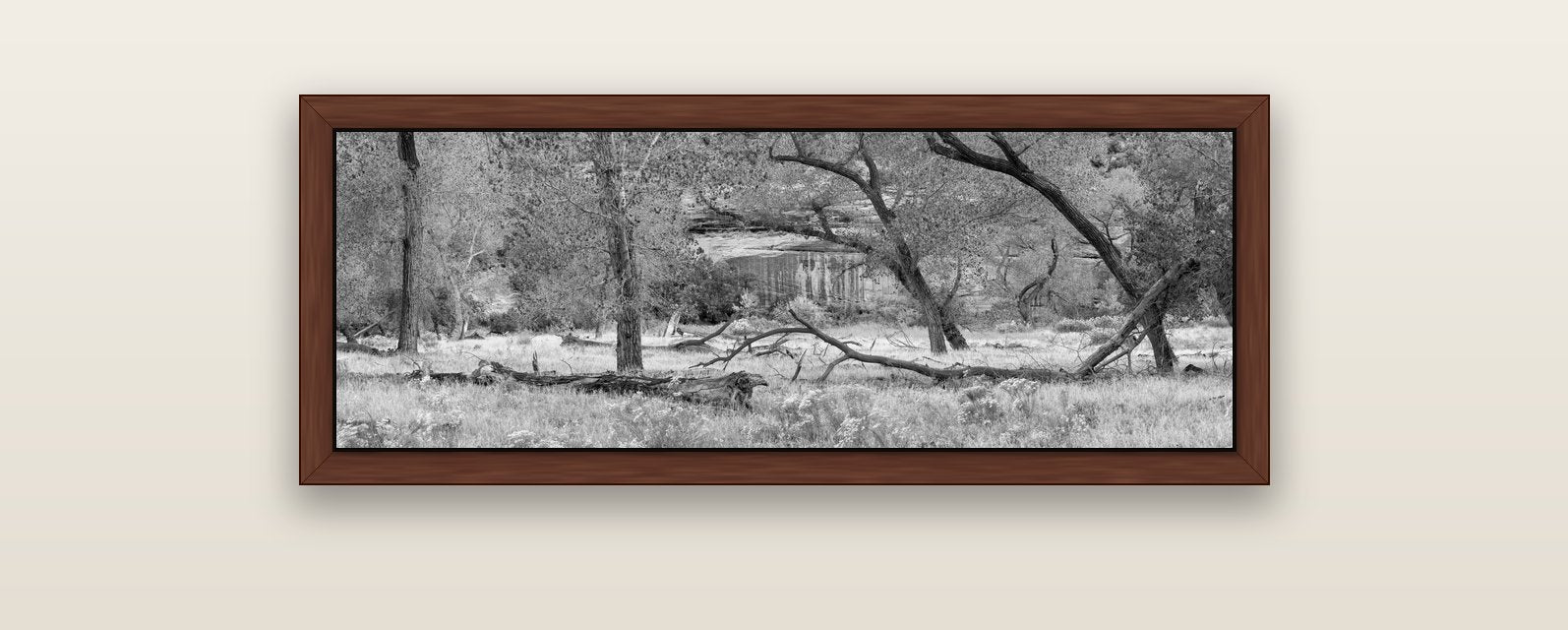 Zion's Canyon Symphony, Nature's Three Figures — brown float frame canvas, 102 × 36 cm. New Zealand fine art landscape wall art by Stephen Milner.