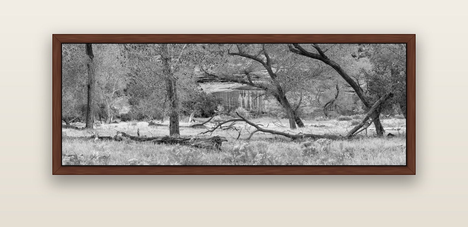 Zion's Canyon Symphony, Nature's Three Figures — brown float frame canvas, 152 × 56 cm. New Zealand fine art landscape wall art by Stephen Milner.
