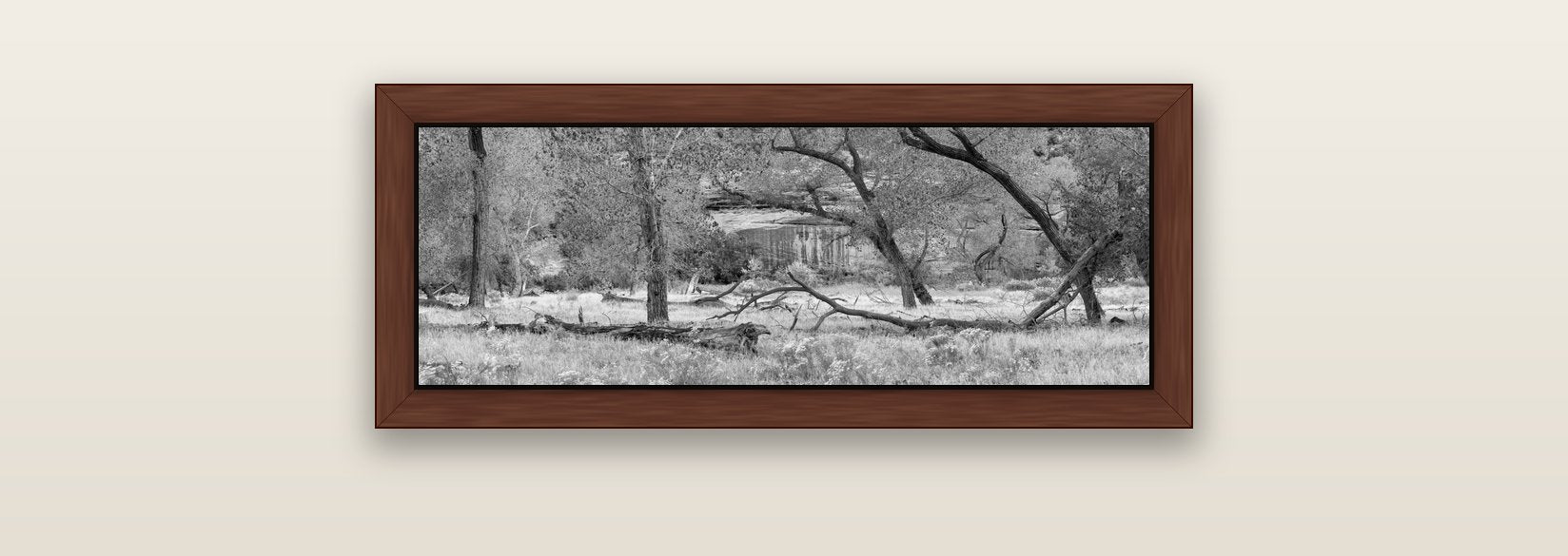 Zion's Canyon Symphony, Nature's Three Figures — brown float frame canvas, 71 × 25 cm. New Zealand fine art landscape wall art by Stephen Milner.