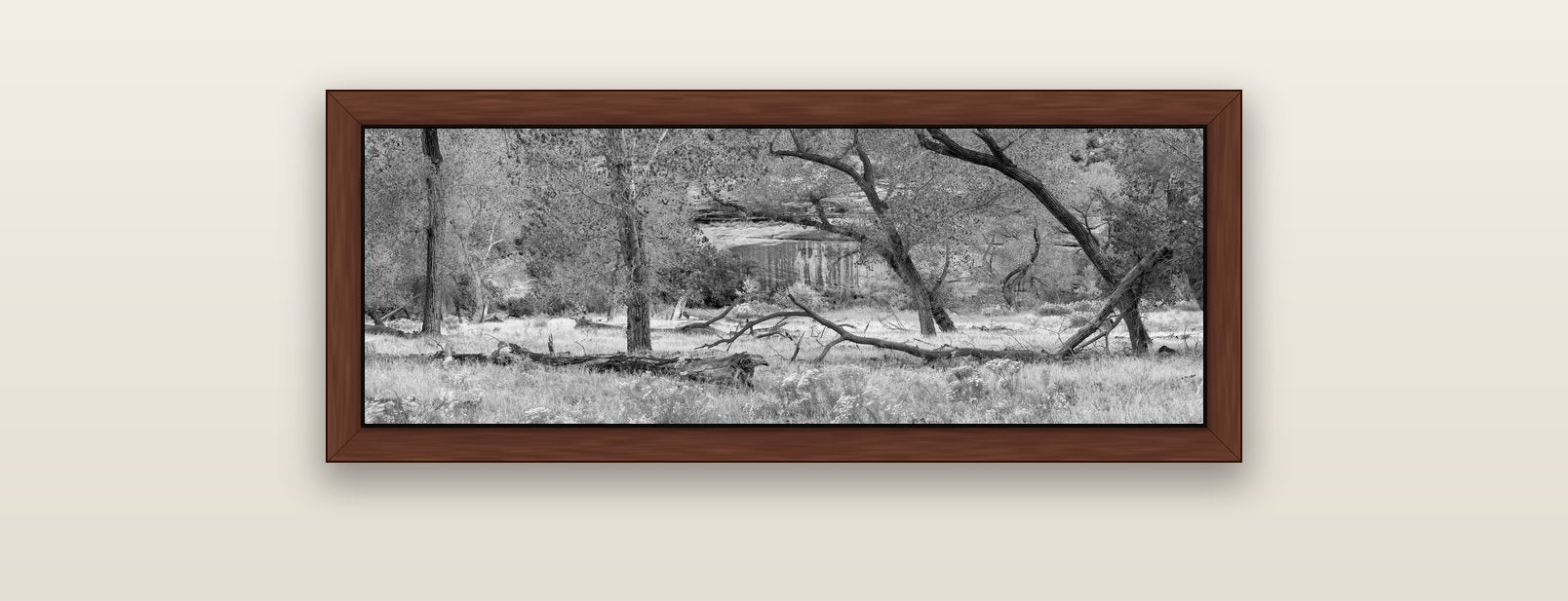 Zion's Canyon Symphony, Nature's Three Figures — brown float frame canvas, 91 × 31 cm. New Zealand fine art landscape wall art by Stephen Milner.