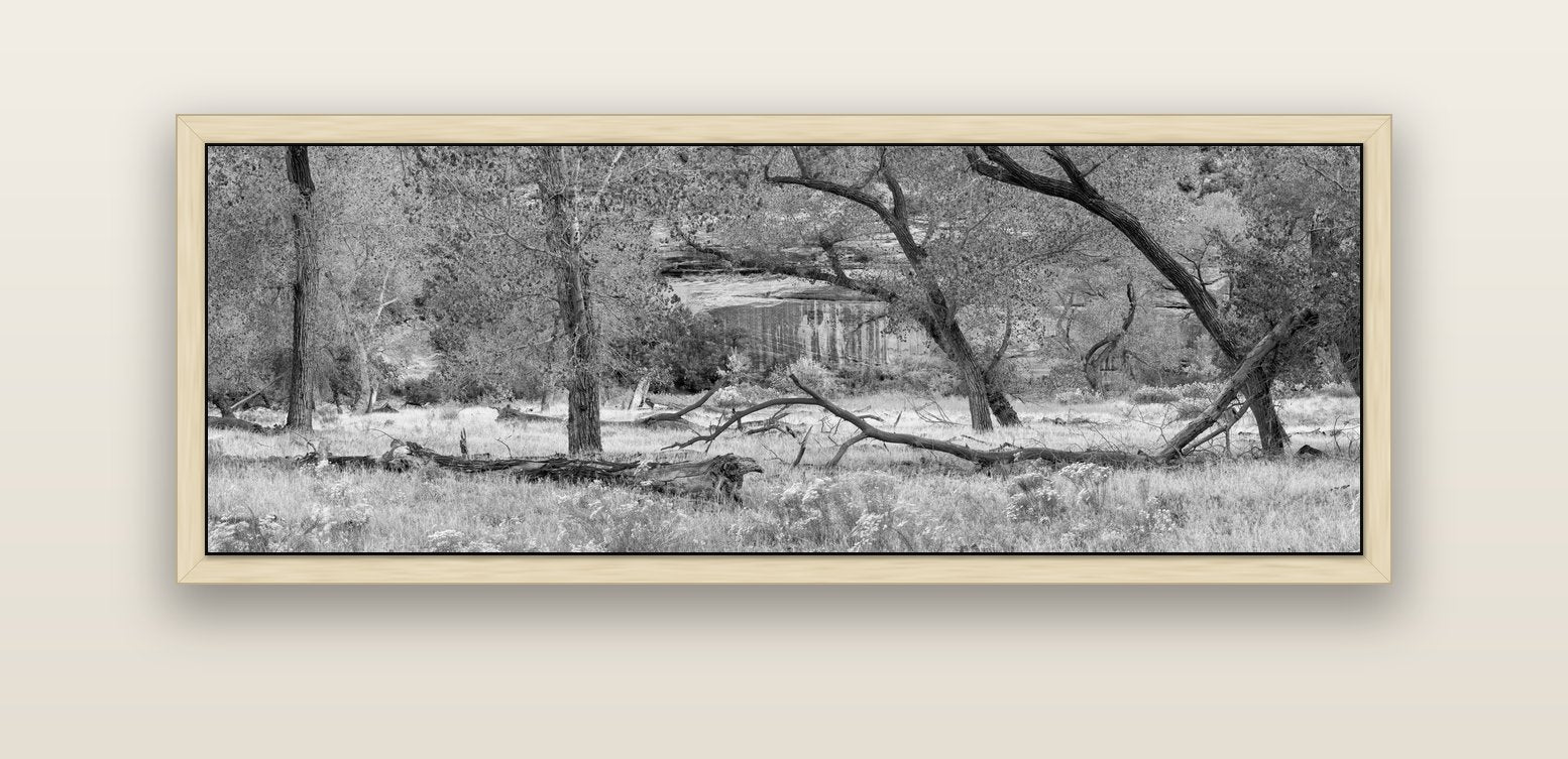 Zion's Canyon Symphony, Nature's Three Figures — natural float frame canvas, 152 × 56 cm. New Zealand fine art landscape wall art by Stephen Milner.