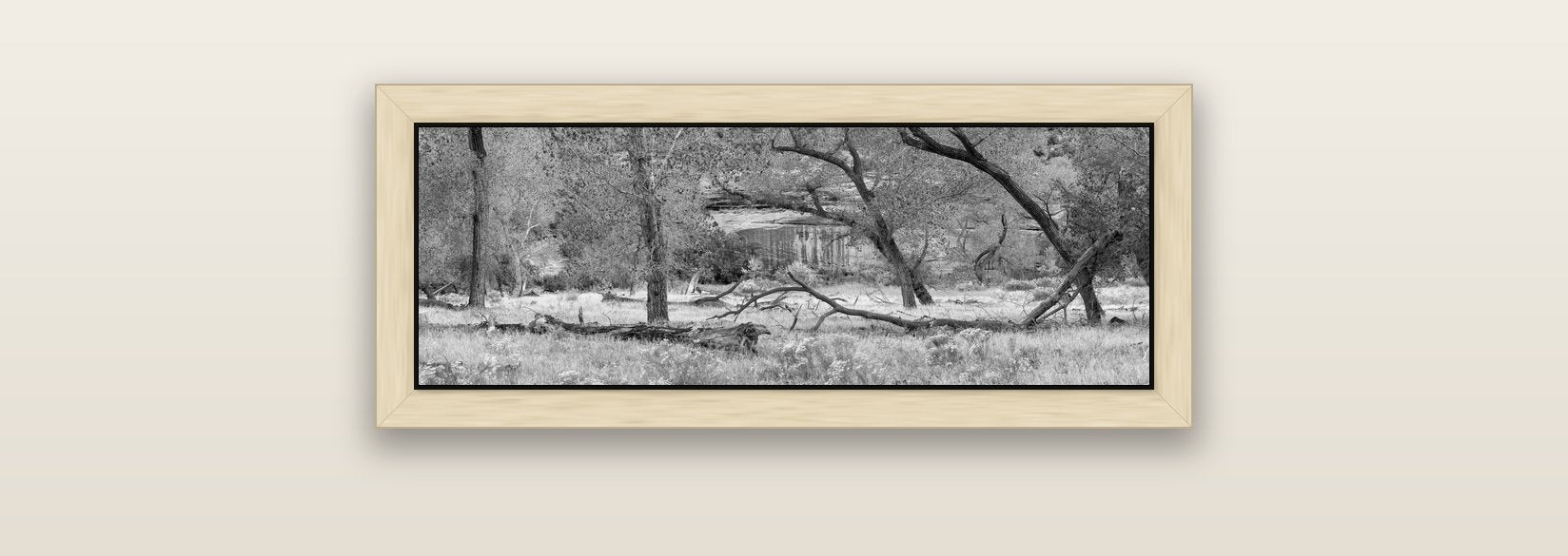Zion's Canyon Symphony, Nature's Three Figures — natural float frame canvas, 71 × 25 cm. New Zealand fine art landscape wall art by Stephen Milner.