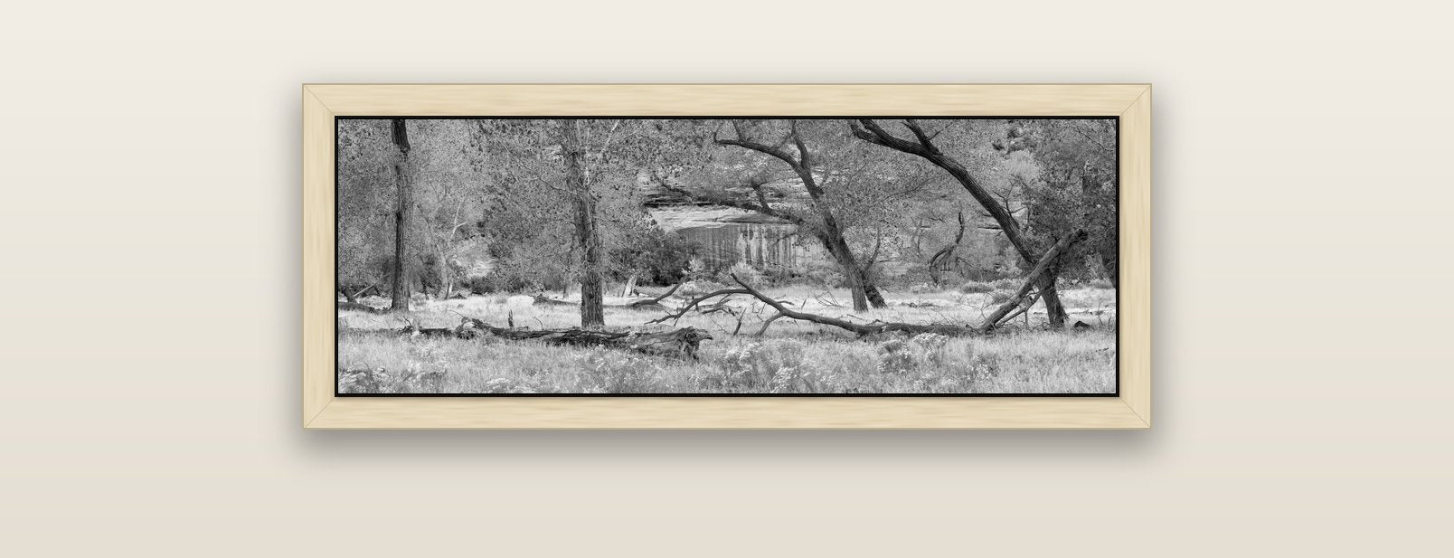 Zion's Canyon Symphony, Nature's Three Figures — natural float frame canvas, 91 × 31 cm. New Zealand fine art landscape wall art by Stephen Milner.