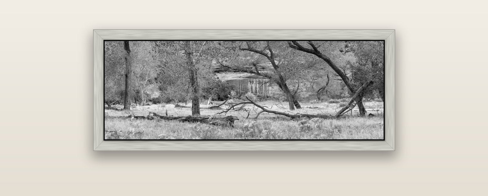 Zion's Canyon Symphony, Nature's Three Figures — silver float frame canvas, 102 × 36 cm. New Zealand fine art landscape wall art by Stephen Milner.