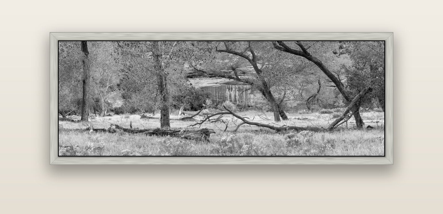Zion's Canyon Symphony, Nature's Three Figures — silver float frame canvas, 152 × 56 cm. New Zealand fine art landscape wall art by Stephen Milner.