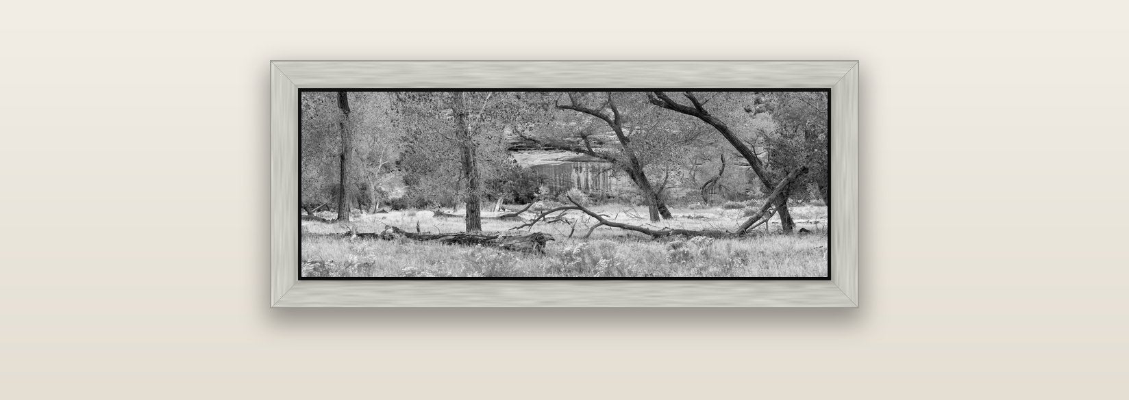 Zion's Canyon Symphony, Nature's Three Figures — silver float frame canvas, 71 × 25 cm. New Zealand fine art landscape wall art by Stephen Milner.