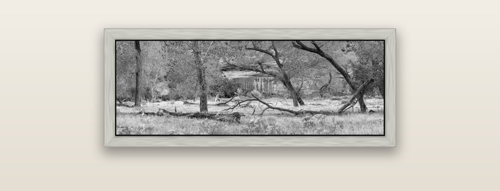 Zion's Canyon Symphony, Nature's Three Figures — silver float frame canvas, 91 × 31 cm. New Zealand fine art landscape wall art by Stephen Milner.