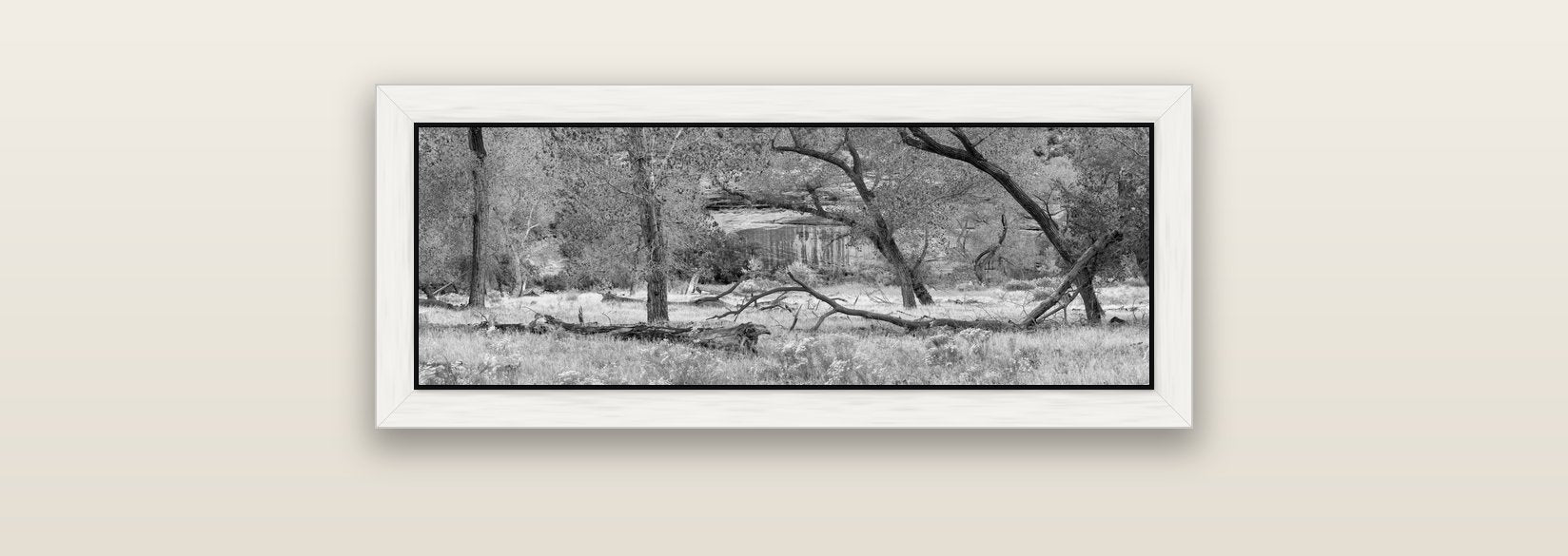Zion's Canyon Symphony, Nature's Three Figures — white float frame canvas, 71 × 25 cm. New Zealand fine art landscape wall art by Stephen Milner.
