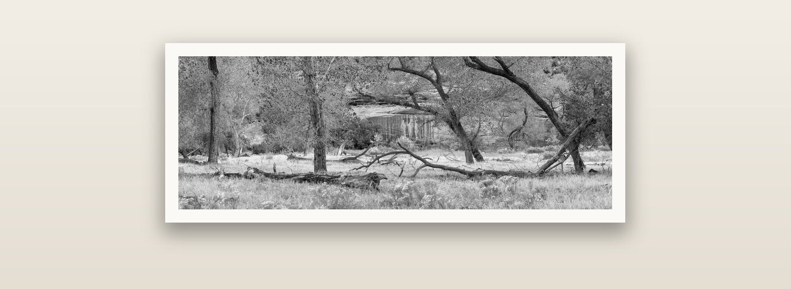Zion's Canyon Symphony, Nature's Three Figures — Hahnemühle fine art print, 90 × 30 cm. New Zealand fine art landscape photography by Stephen Milner.