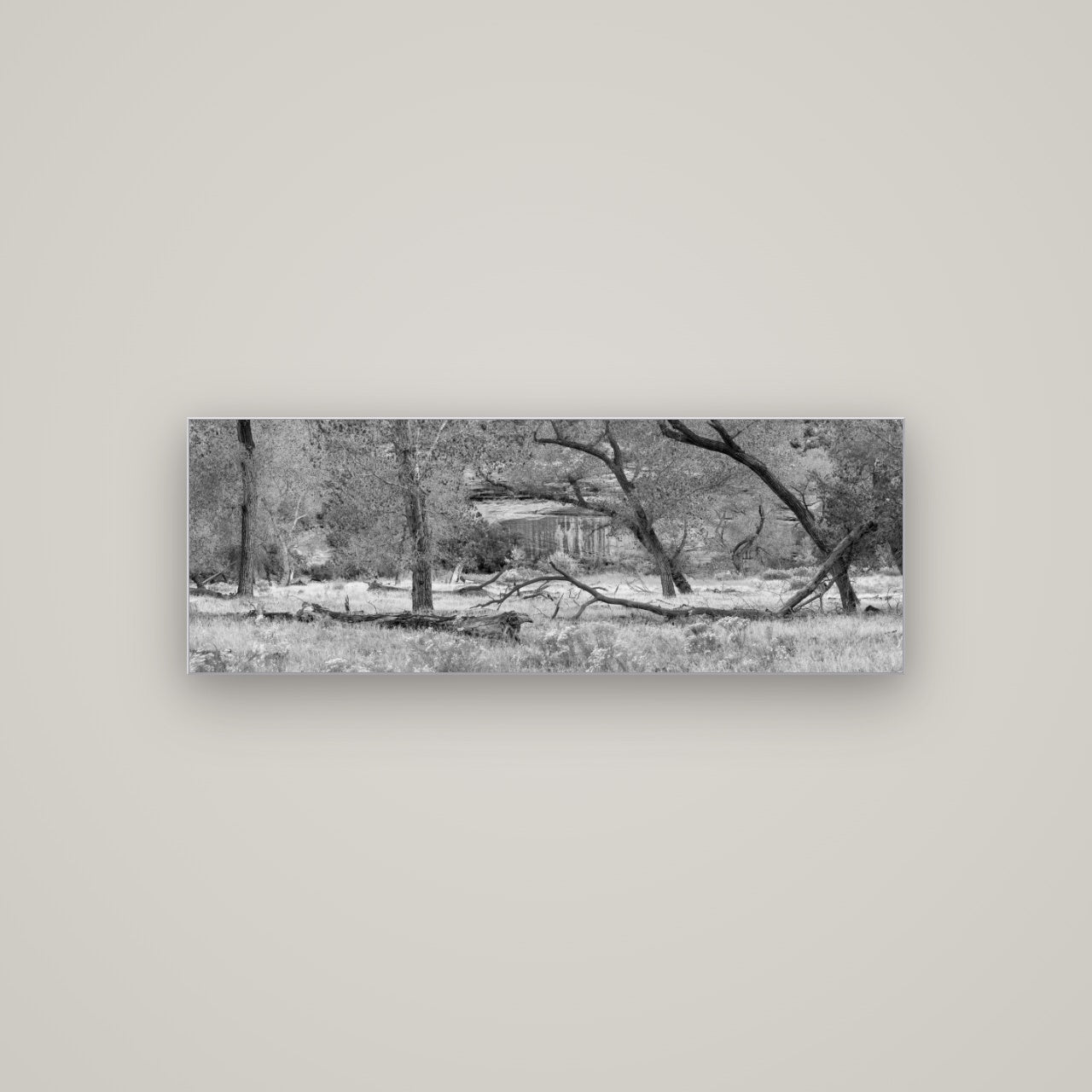 Zion's Canyon Symphony, Nature's Three Figures — Slimline Silver, 113×40 cm. New Zealand fine art wall art by Stephen Milner.